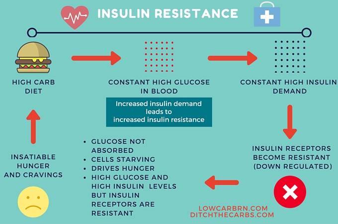 Insulin Resistance