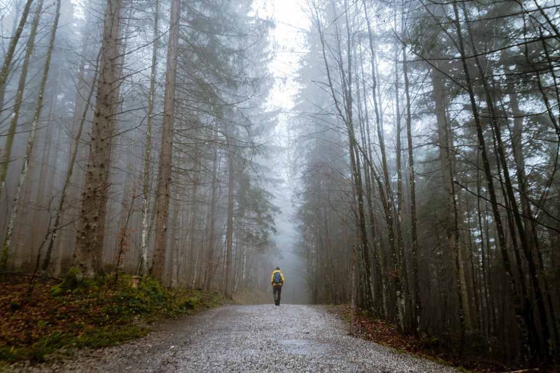 Between Christmas and New&nbsp;Year’s