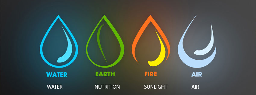4-elements-water-earth-fire-air-4of8laws