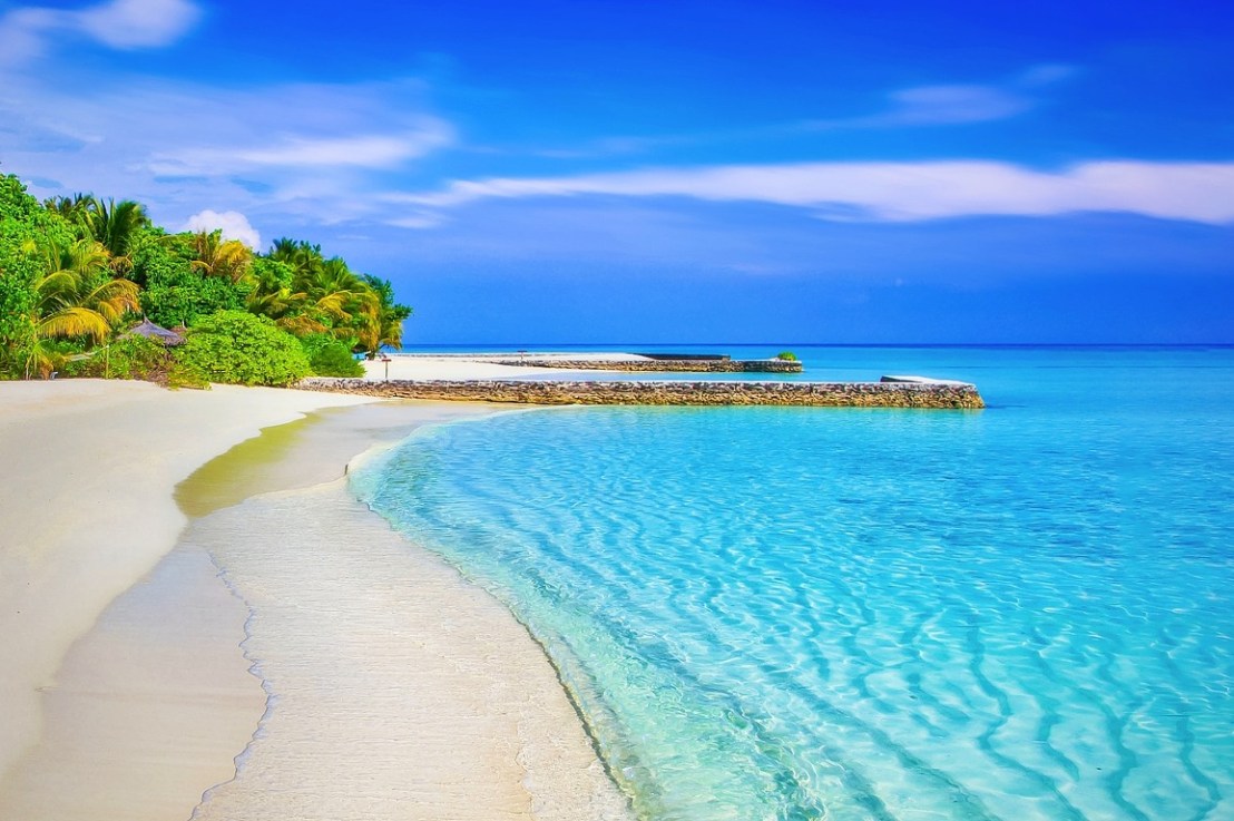 Trust, Law of Health&nbsp;#8