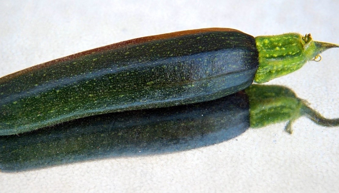 Jeanette Pelton’s Zucchini&nbsp;Loaf