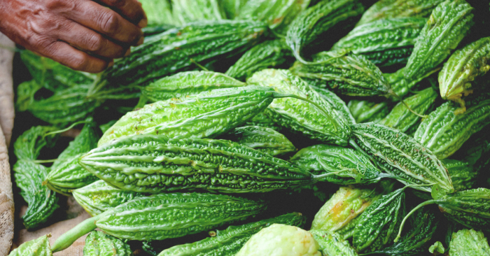 Bitter Melon