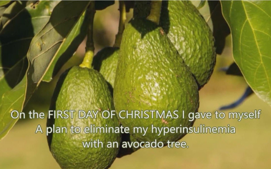 The 12 Days of&nbsp;Christmas